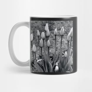 Tulips Mug